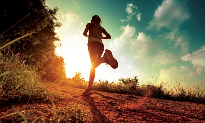 SPOR EĞİTİMLERİ